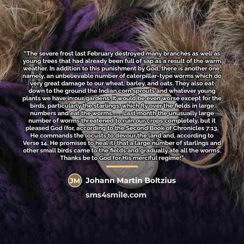 “The severe frost last February destroyed many branches as well as young trees that had already been full of sap as a result of the warm weather. In addition to this punishment by God, there is another one, namely, an unbelievable number of caterpillar-type worms which do very great damage to our…” quote by Johann Martin Boltzius