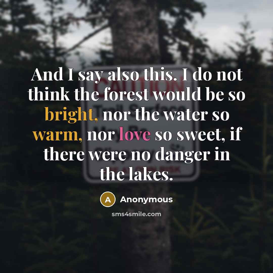 “And I say also this. I do not think the forest would be so bright, nor the water so warm, nor love so sweet, if there were no danger in the lakes.” quote by Anonymous