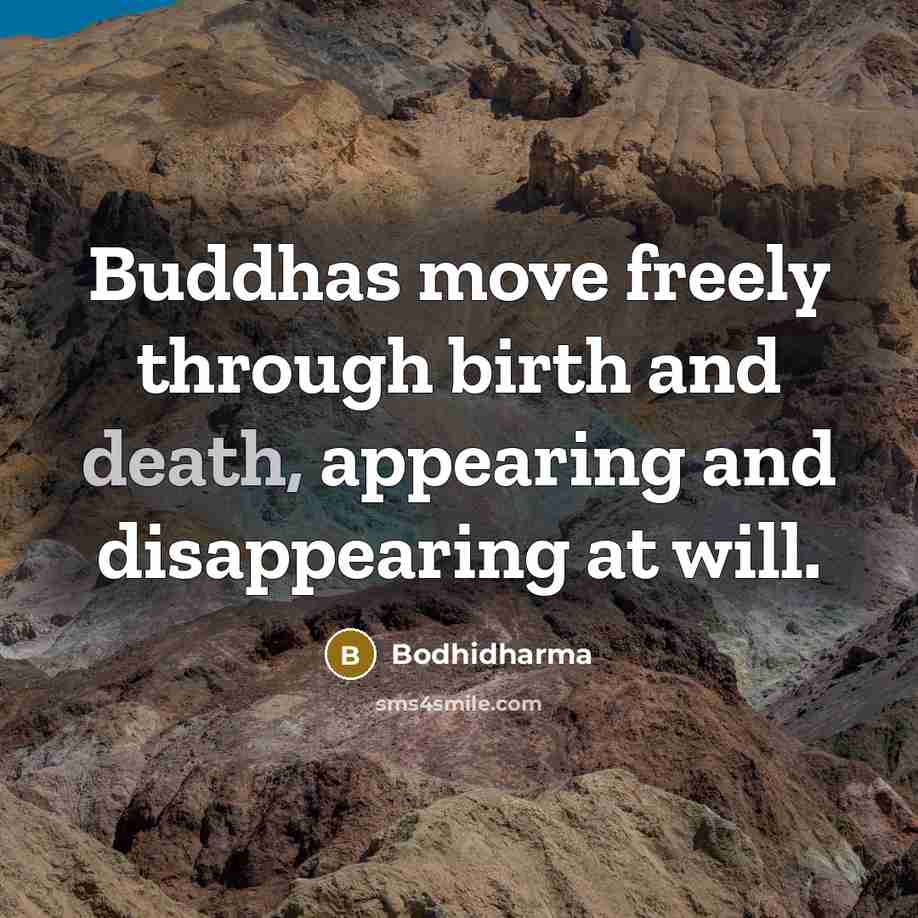 “Buddhas move freely through birth and death, appearing and disappearing at will.” quote by Bodhidharma