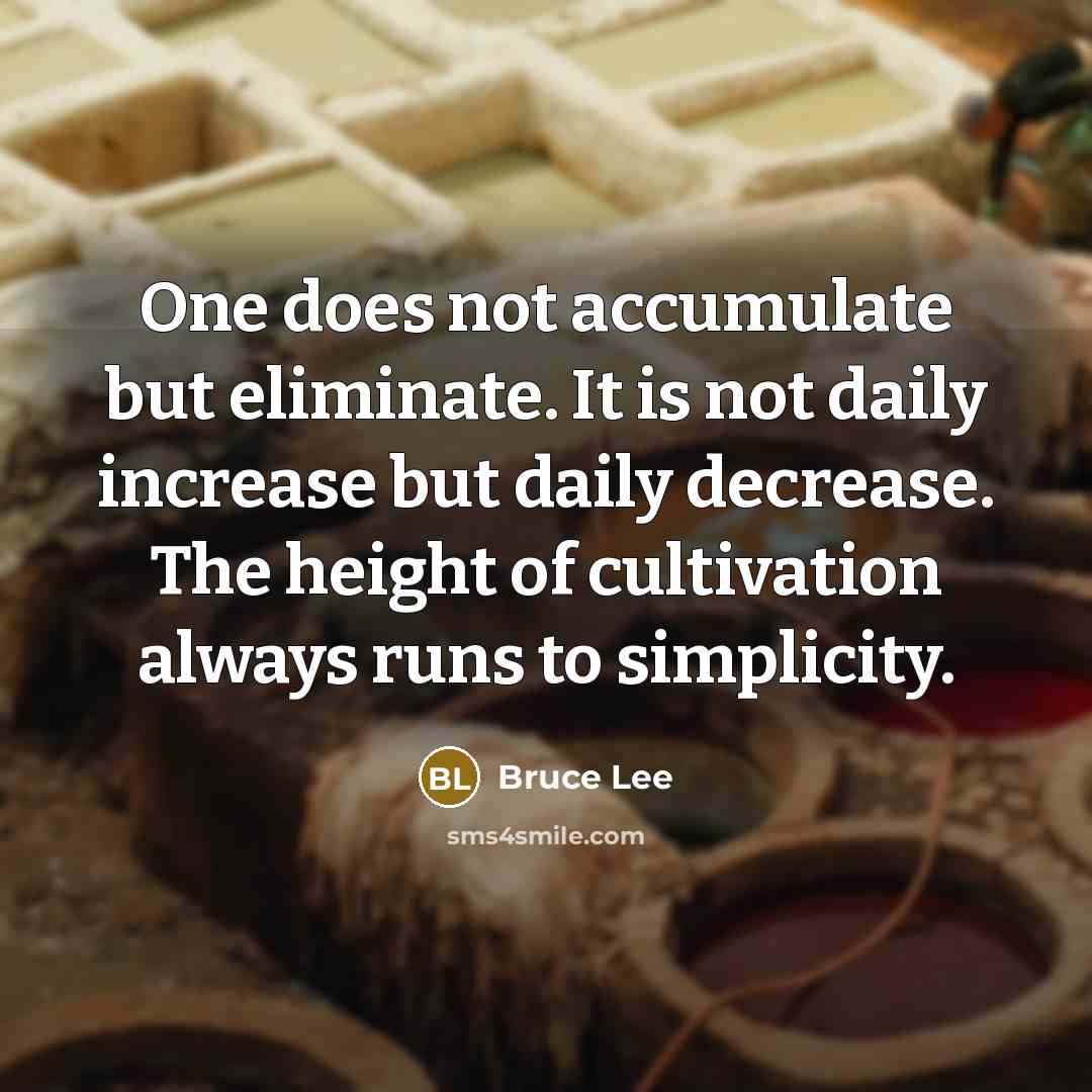 “One does not accumulate but eliminate. It is not daily increase but daily decrease. The height of cultivation always runs to simplicity.” quote by Bruce Lee