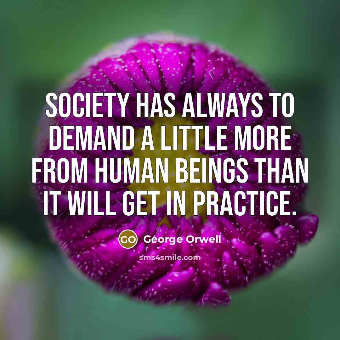 “Society has always to demand a little more from human beings than it will get in practice.” quote by George Orwell