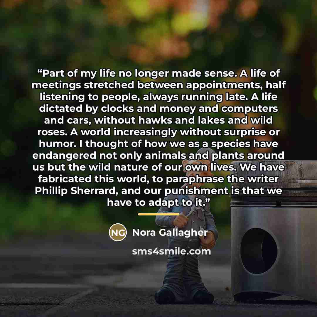 “Part of my life no longer made sense. A life of meetings stretched between appointments, half listening to people, always running late. A life dictated by clocks and money and computers and cars, without hawks and lakes and wild roses. A world increasingly without surprise or humor. I thought of…” quote by Nora Gallagher