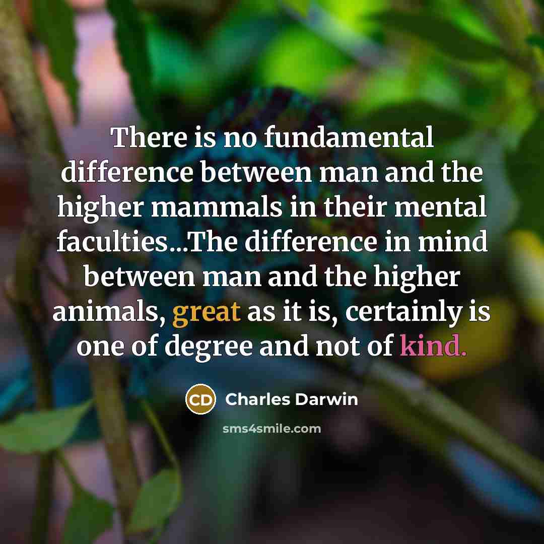 “There is no fundamental difference between man and the higher mammals in their mental faculties...The difference in mind between man and the higher animals, great as it is, certainly is one of degree and not of kind.” quote by Charles Darwin