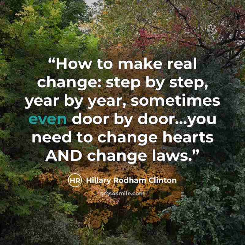 “How to make real change: step by step, year by year, sometimes even door by door...you need to change hearts AND change laws.” quote by Hillary Rodham Clinton