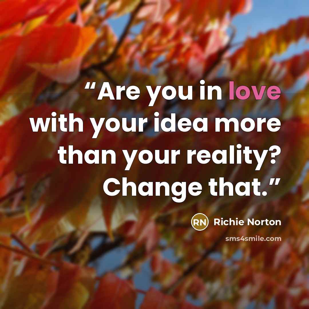 “Are you in love with your idea more than your reality? Change that.” quote by Richie Norton