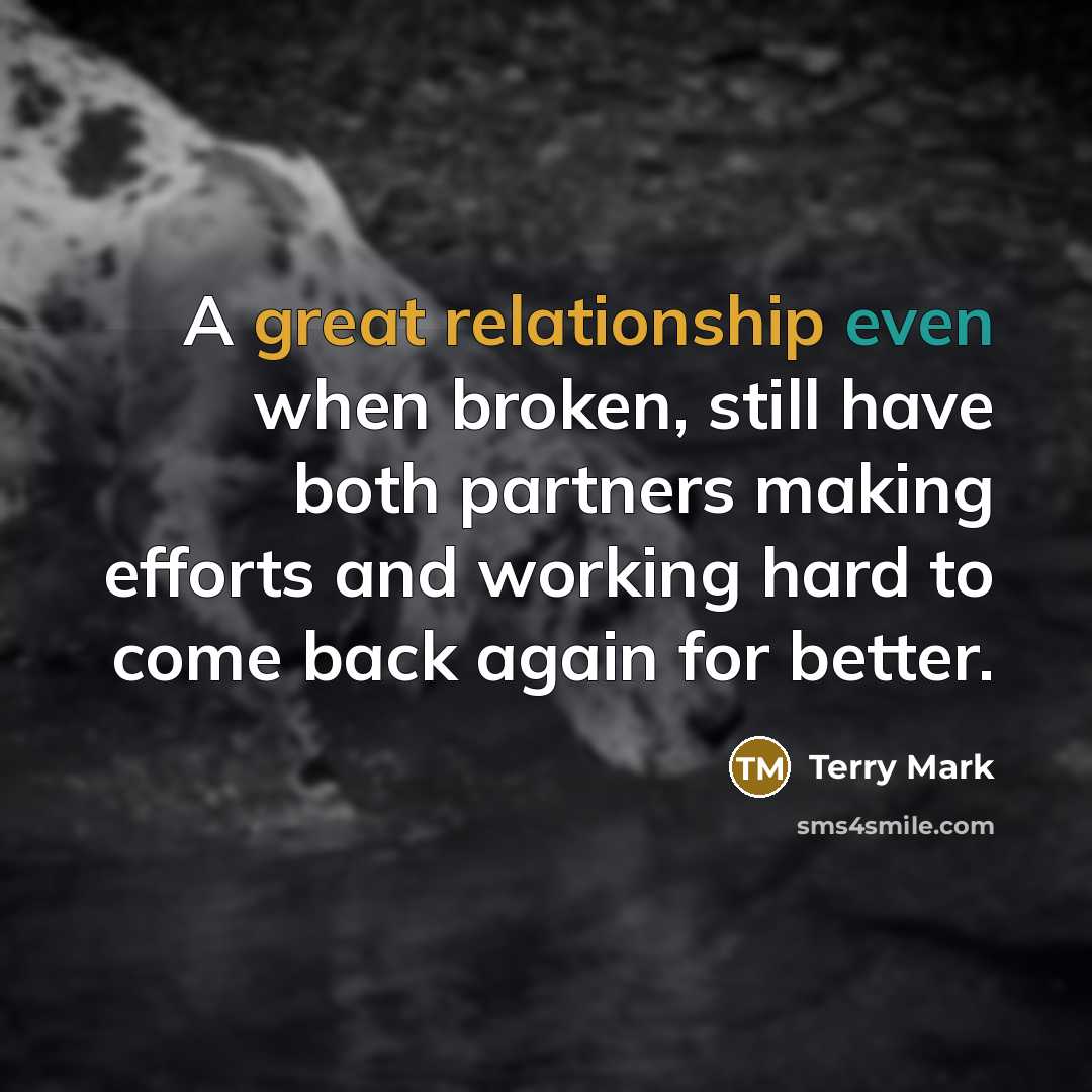 “A great relationship even when broken, still have both partners making efforts and working hard to come back again for better.” quote by Terry Mark