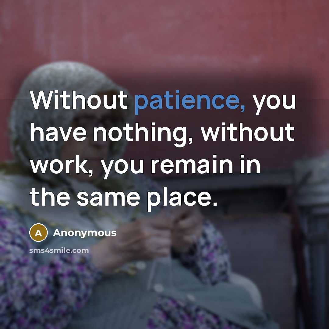 “Without patience, you have nothing, without work, you remain in the same place.” quote by Anonymous
