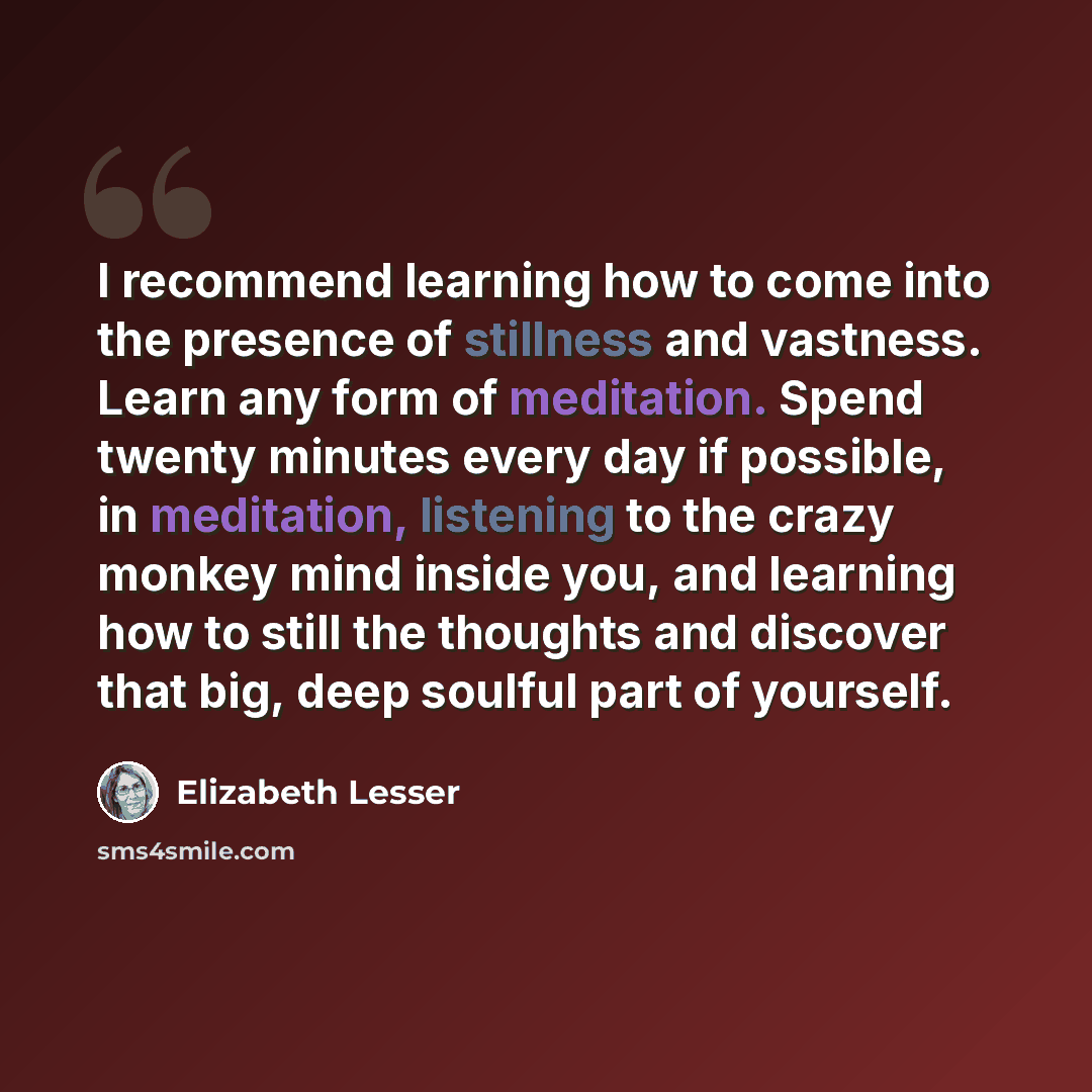 “I recommend learning how to come into the presence of stillness and vastness. Learn any form of meditation. Spend twenty minutes every day if possible, in meditation, listening to the crazy monkey mind inside you, and learning how to still the thoughts and discover that big, deep soulful part of…” quote by Elizabeth Lesser