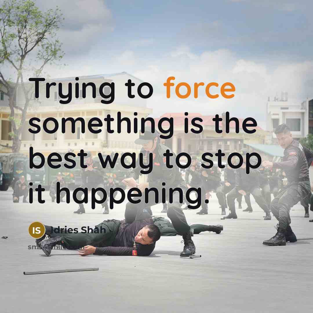 “Trying to force something is the best way to stop it happening.” quote by Idries Shah