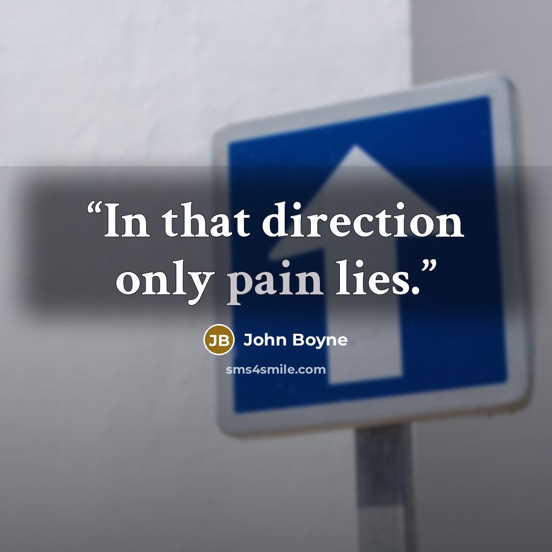 “In that direction only pain lies.” quote by John Boyne