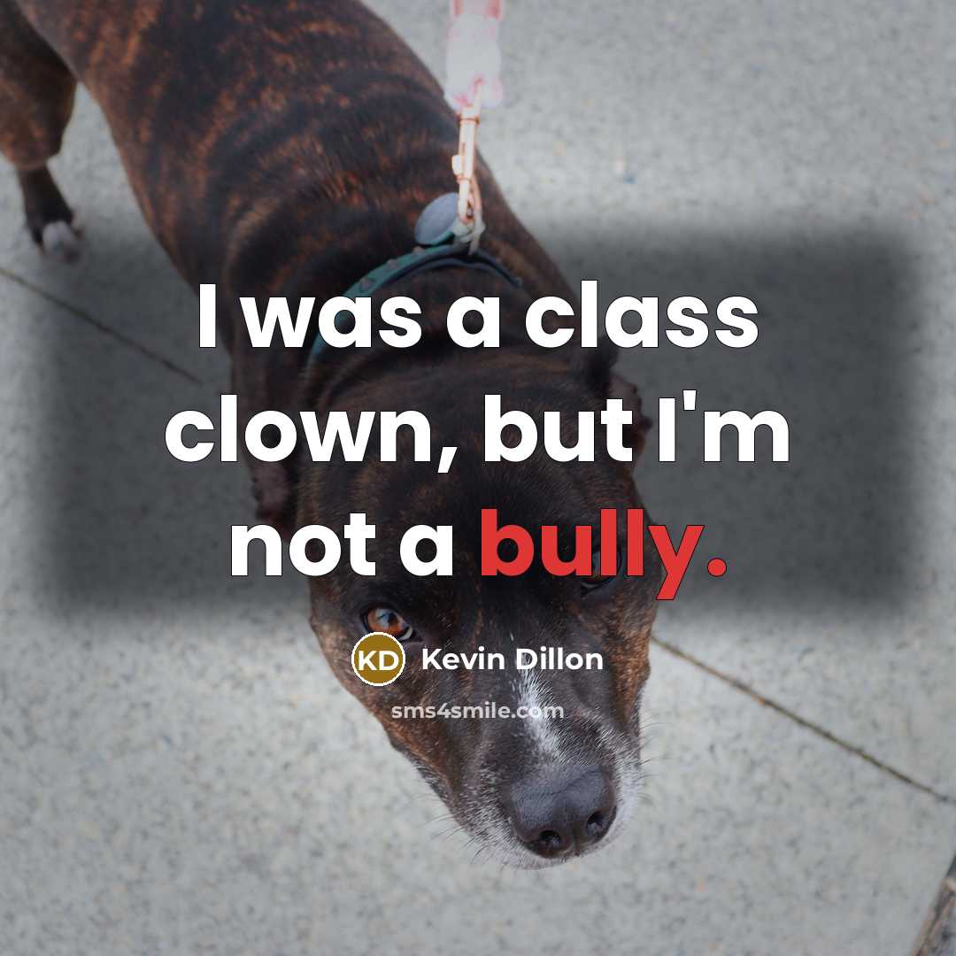 “I was a class clown, but I'm not a bully.” quote by Kevin Dillon