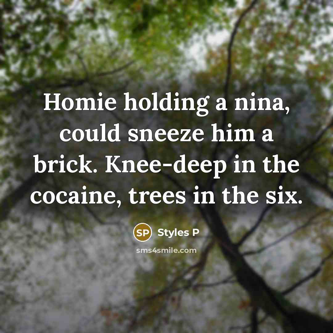 “Homie holding a nina, could sneeze him a brick. Knee-deep in the cocaine, trees in the six.” quote by Styles P