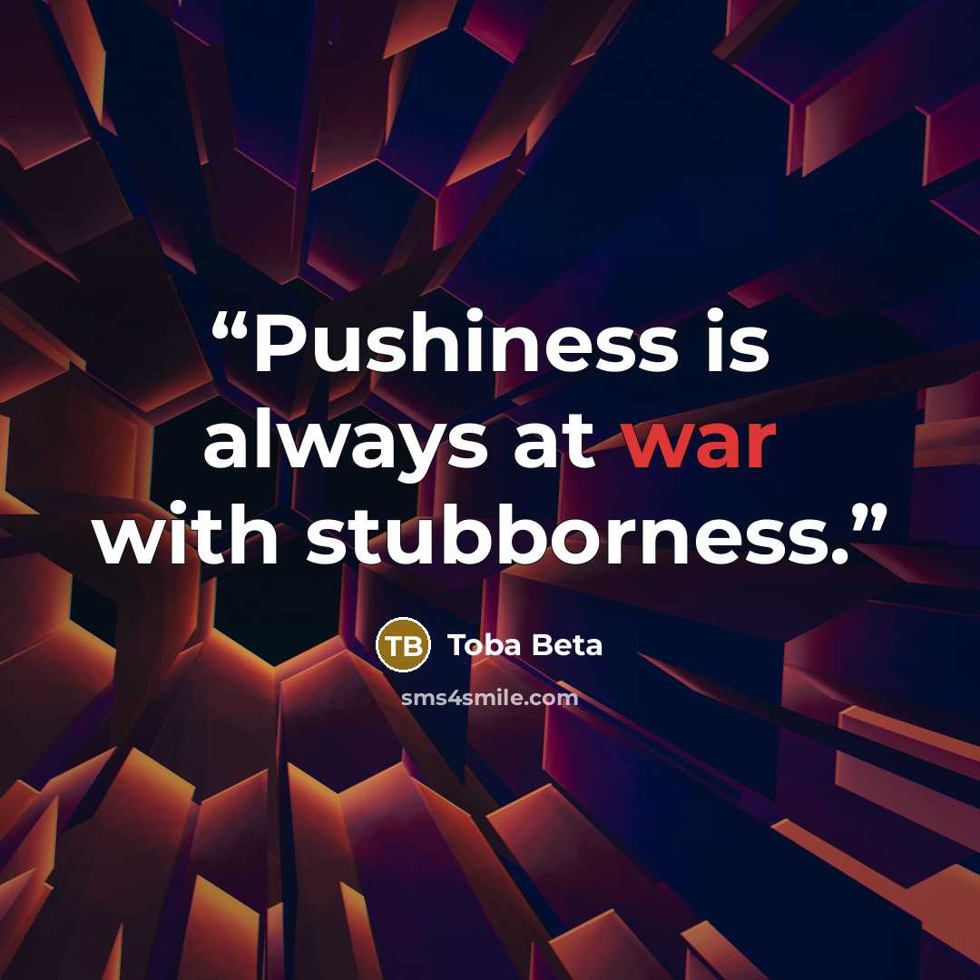 “Pushiness is always at war with stubborness.” quote by Toba Beta