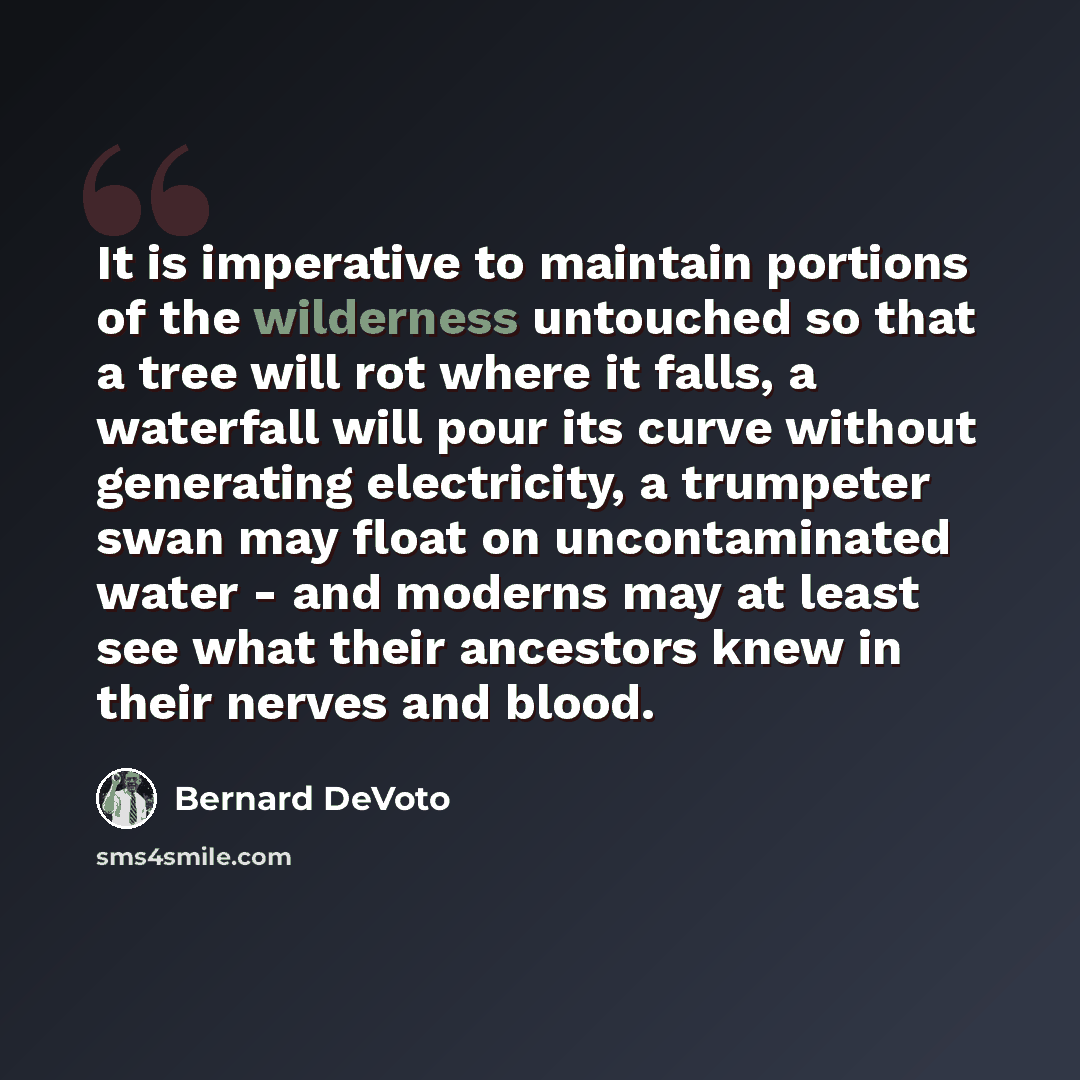 “It is imperative to maintain portions of the wilderness untouched so that a tree will rot where it falls, a waterfall will pour its curve without generating electricity, a trumpeter swan may float on uncontaminated water - and moderns may at least see what their ancestors knew in their nerves and…” quote by Bernard DeVoto