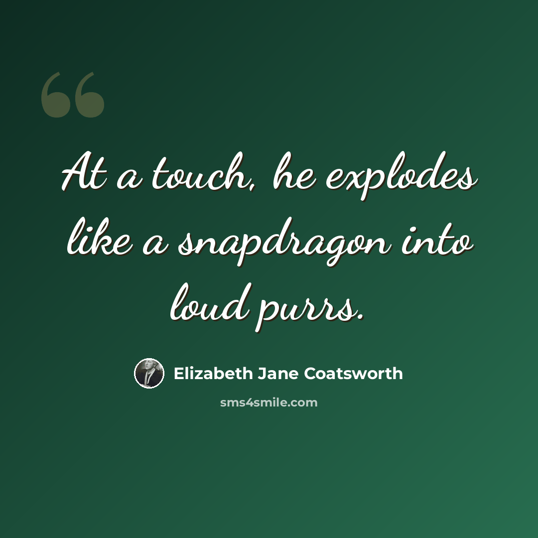 “At a touch, he explodes like a snapdragon into loud purrs.” quote by Elizabeth Jane Coatsworth