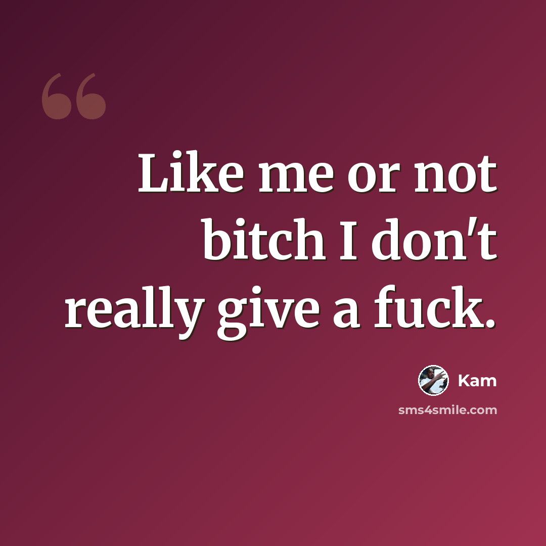 “Like me or not bitch I don't really give a fuck.” quote by Kam
