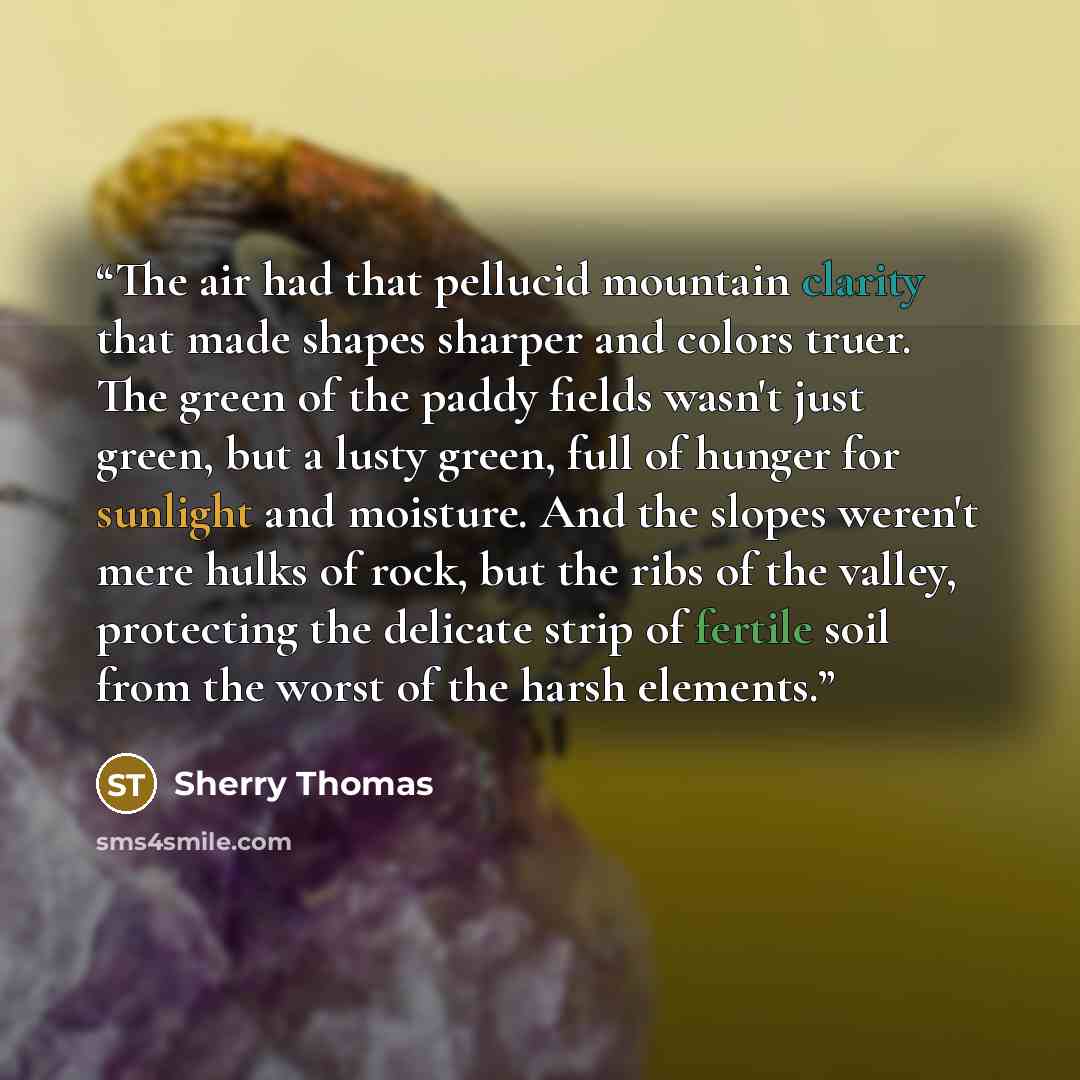 “The air had that pellucid mountain clarity that made shapes sharper and colors truer. The green of the paddy fields wasn't just green, but a lusty green, full of hunger for sunlight and moisture. And the slopes weren't mere hulks of rock, but the ribs of the valley, protecting the delicate strip…” quote by Sherry Thomas