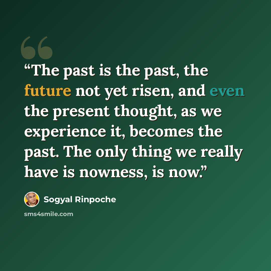 “The past is the past, the future not yet risen, and even the present thought, as we experience it, becomes the past. The only thing we really have is nowness, is now.” quote by Sogyal Rinpoche