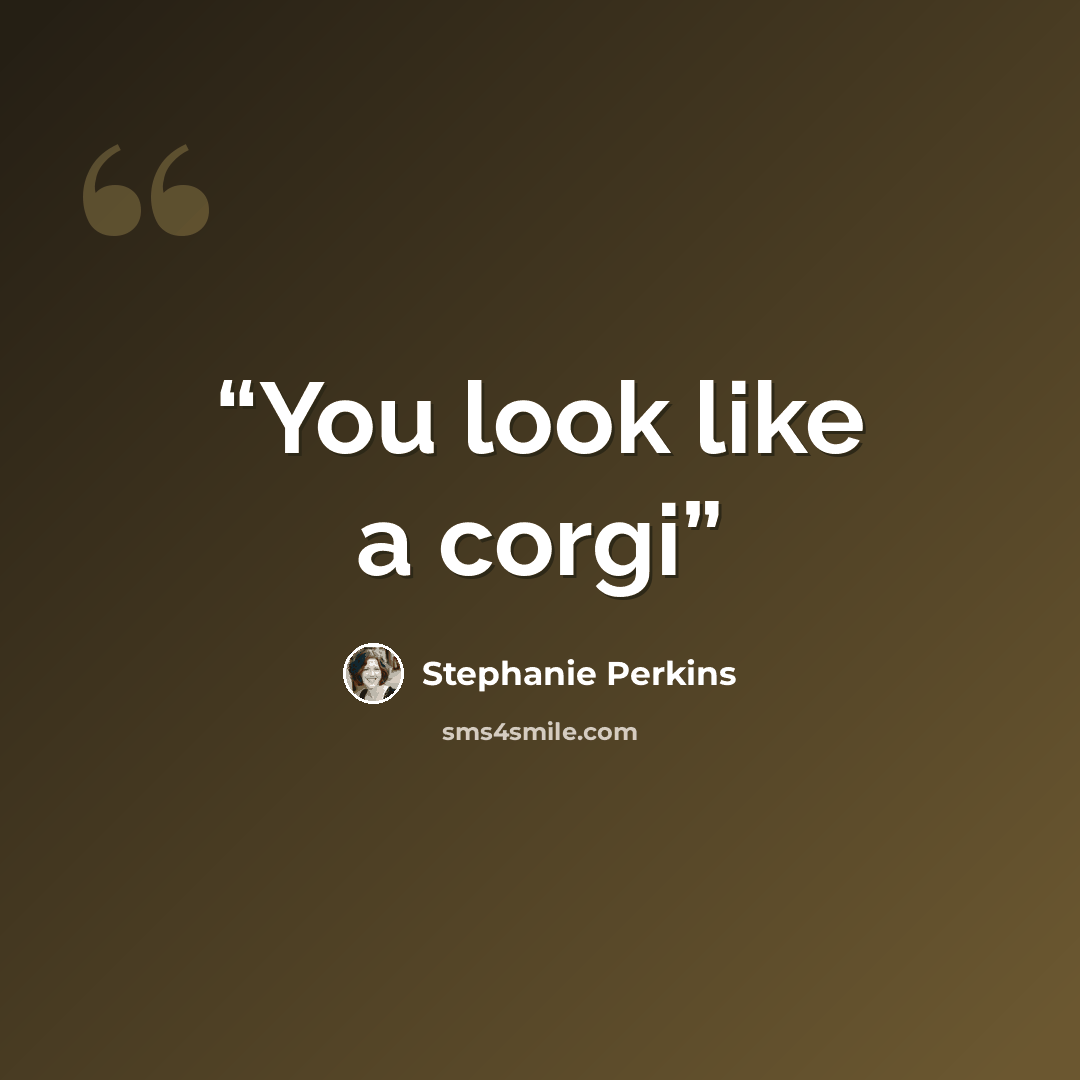 “You look like a corgi” quote by Stephanie Perkins