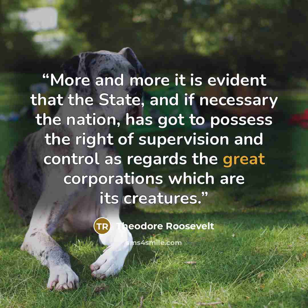 “More and more it is evident that the State, and if necessary the nation, has got to possess the right of supervision and control as regards the great corporations which are its creatures.” quote by Theodore Roosevelt