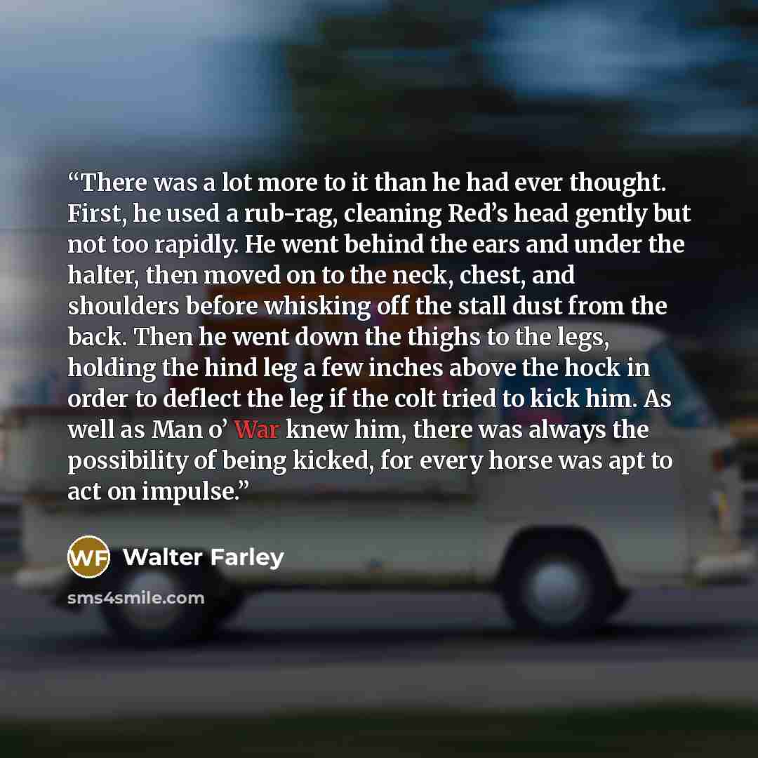 “There was a lot more to it than he had ever thought. First, he used a rub-rag, cleaning Red’s head gently but not too rapidly. He went behind the ears and under the halter, then moved on to the neck, chest, and shoulders before whisking off the stall dust from the back. Then he went down the…” quote by Walter Farley