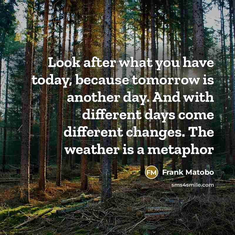 “Look after what you have today, because tomorrow is another day. And with different days come different changes. The weather is a metaphor” quote by Frank Matobo