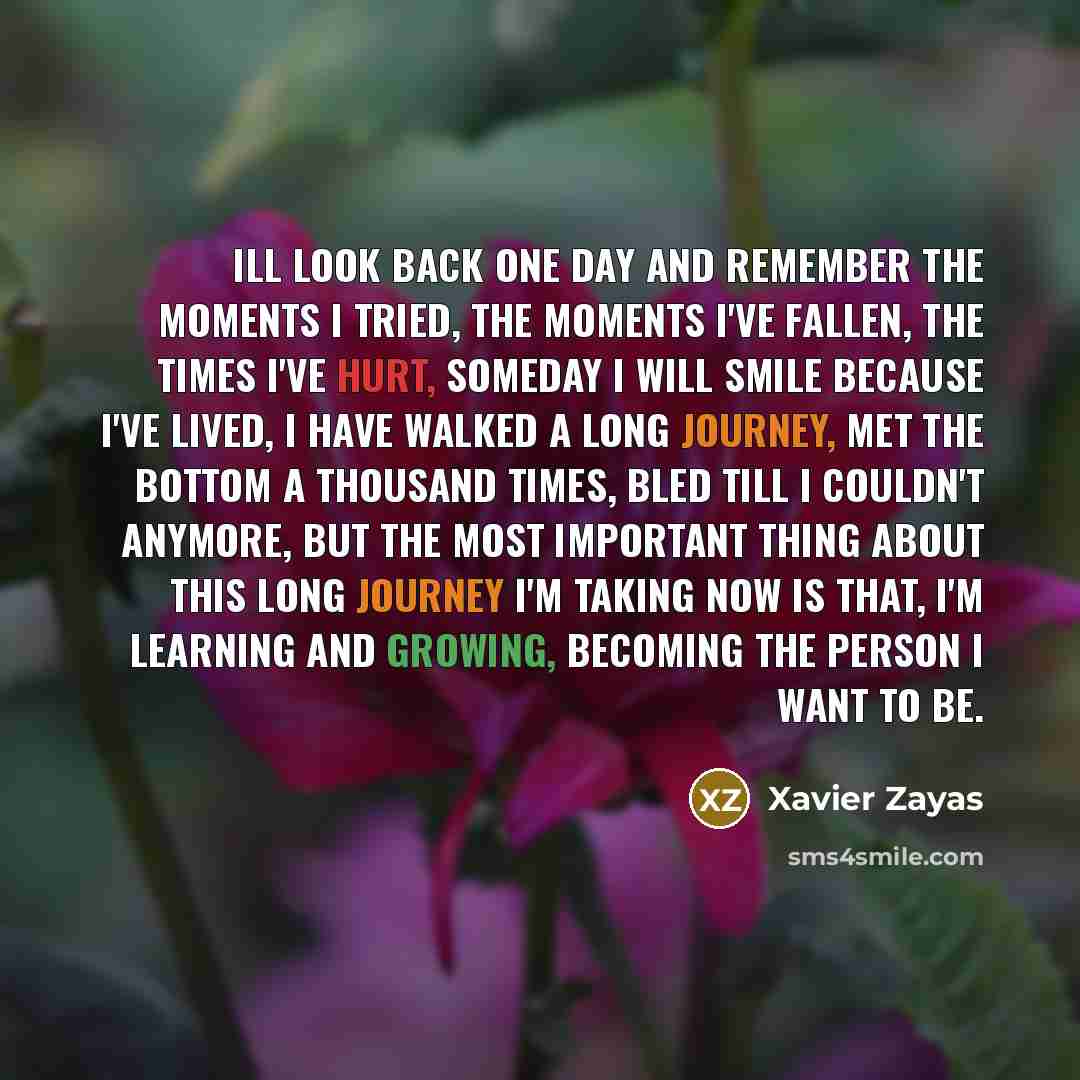 “Ill look back one day and remember the moments I tried, the moments I've fallen, the times I've hurt, someday I will smile because I've lived, I have walked a long journey, met the bottom a thousand times, bled till I couldn't anymore, but the most important thing about this long journey I'm…” quote by Xavier Zayas