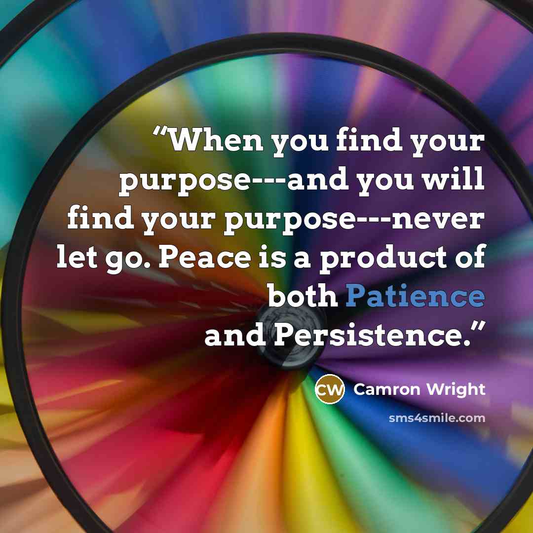 “When you find your purpose---and you will find your purpose---never let go. Peace is a product of both Patience and Persistence.” quote by Camron Wright