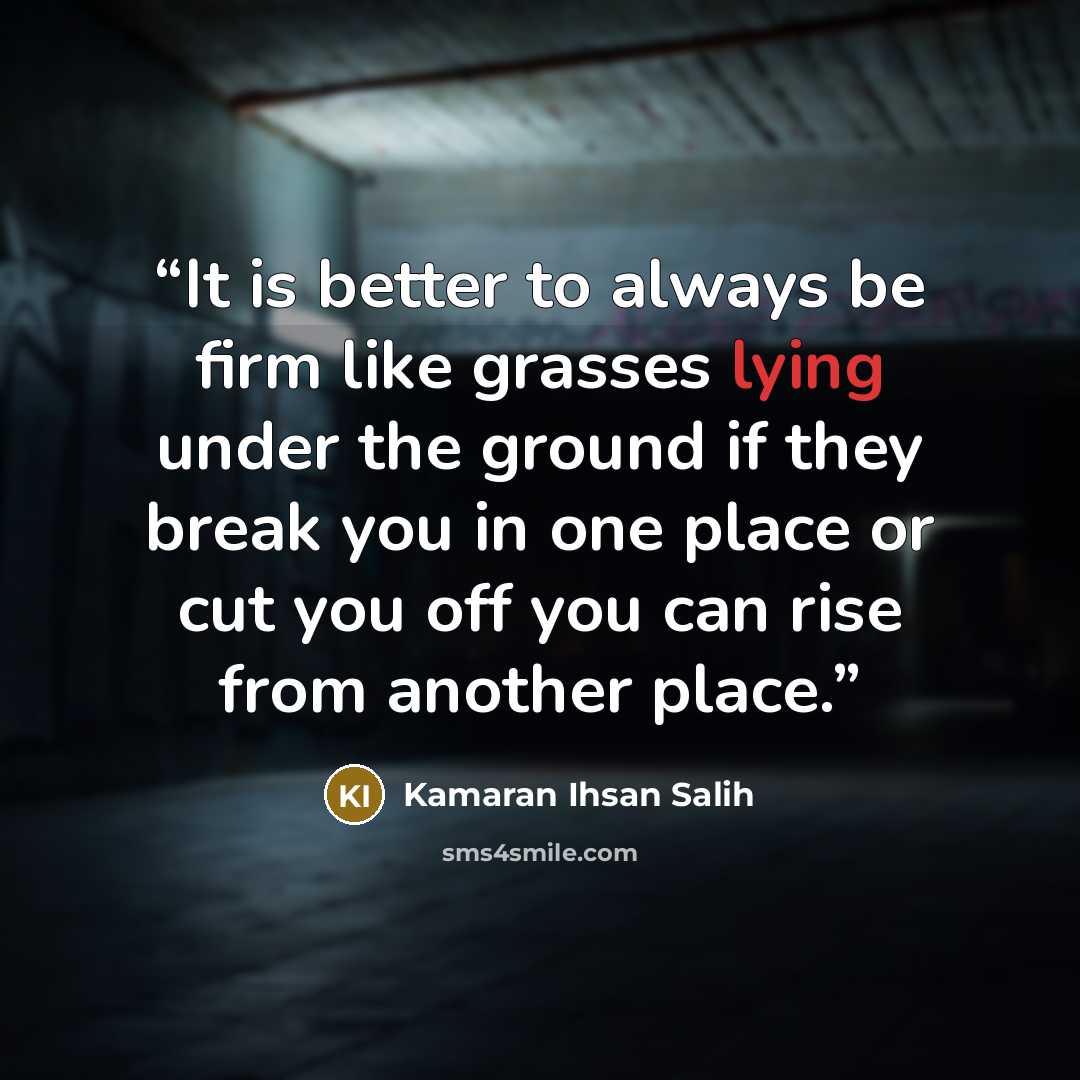 “It is better to always be firm like grasses lying under the ground if they break you in one place or cut you off you can rise from another place.” quote by Kamaran Ihsan Salih