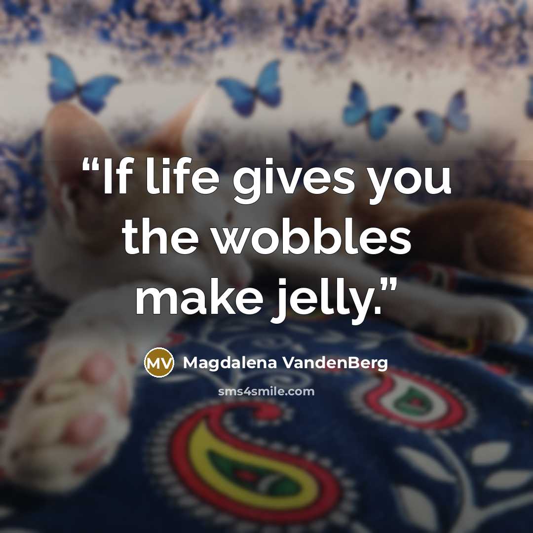 “If life gives you the wobbles make jelly.” quote by Magdalena VandenBerg