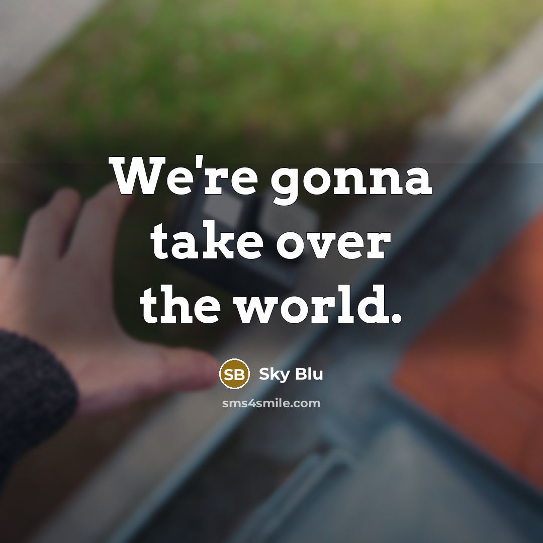 “We're gonna take over the world.” quote by Sky Blu