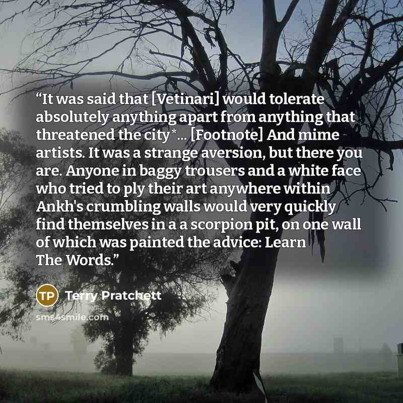 “It was said that [Vetinari] would tolerate absolutely anything apart from anything that threatened the city*... [Footnote] And mime artists. It was a strange aversion, but there you are. Anyone in baggy trousers and a white face who tried to ply their art anywhere within Ankh's crumbling walls…” quote by Terry Pratchett