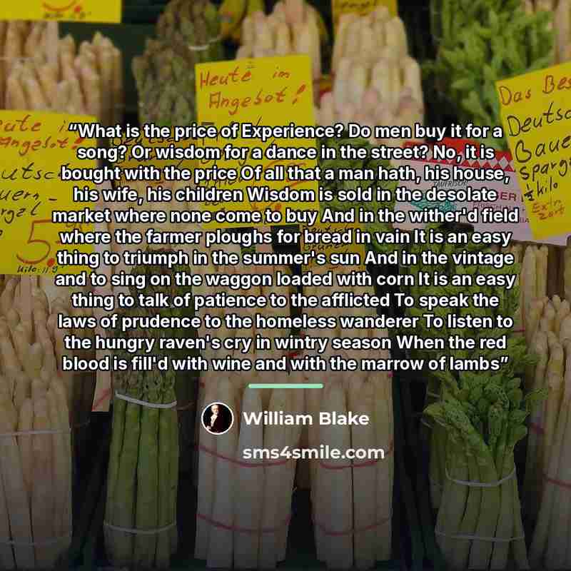 “What is the price of Experience? Do men buy it for a song? Or wisdom for a dance in the street? No, it is bought with the price Of all that a man hath, his house, his wife, his children Wisdom is sold in the desolate market where none come to buy And in the wither'd field where the farmer ploughs…” quote by William Blake