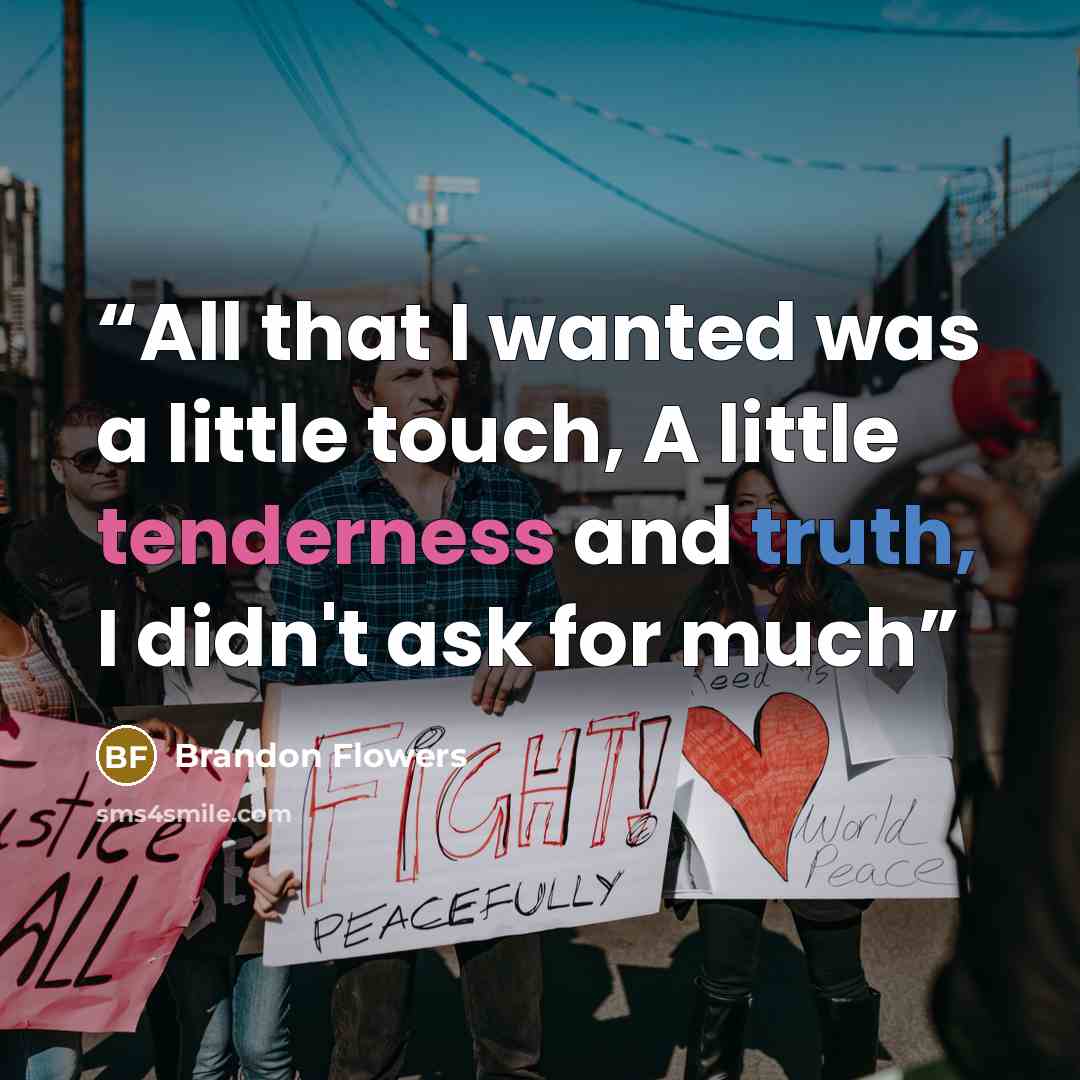 “All that I wanted was a little touch, A little tenderness and truth, I didn't ask for much” quote by Brandon Flowers