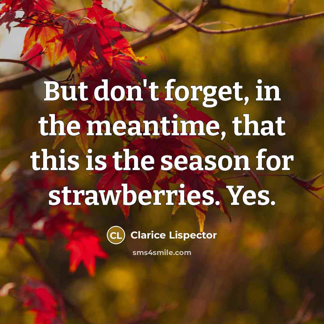 “But don't forget, in the meantime, that this is the season for strawberries. Yes.” quote by Clarice Lispector