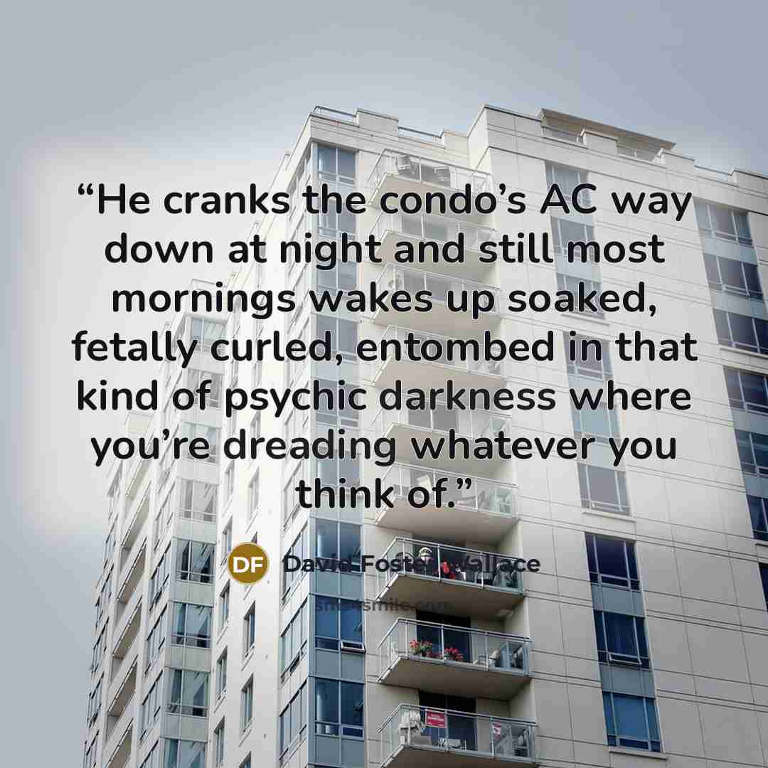 “He cranks the condo’s AC way down at night and still most mornings wakes up soaked, fetally curled, entombed in that kind of psychic darkness where you’re dreading whatever you think of.” quote by David Foster Wallace
