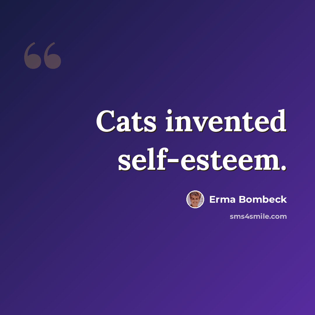 “Cats invented self-esteem.” quote by Erma Bombeck