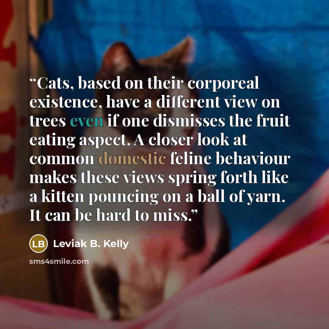 “Cats, based on their corporeal existence, have a different view on trees even if one dismisses the fruit eating aspect. A closer look at common domestic feline behaviour makes these views spring forth like a kitten pouncing on a ball of yarn. It can be hard to miss.” quote by Leviak B. Kelly