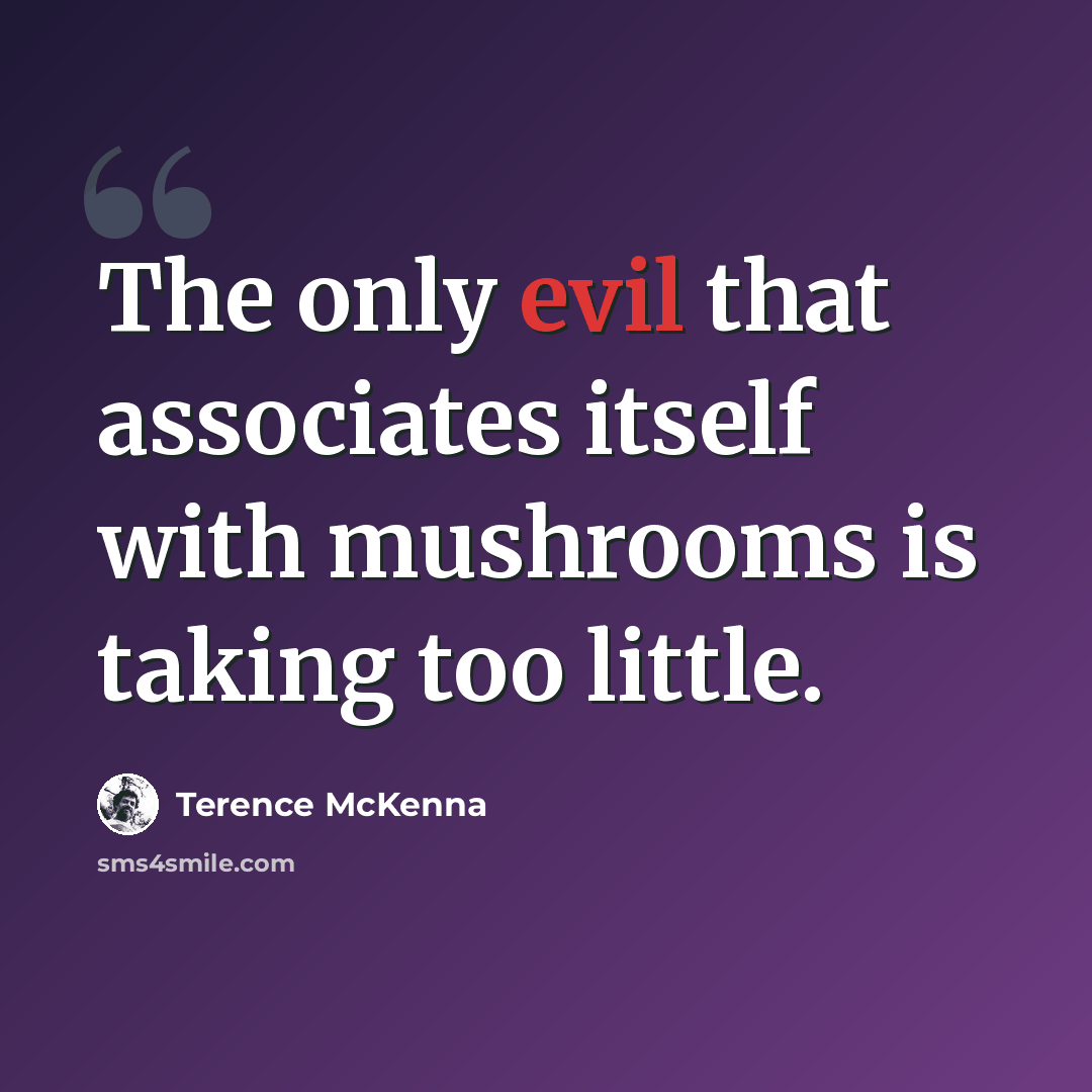 “The only evil that associates itself with mushrooms is taking too little.” quote by Terence McKenna