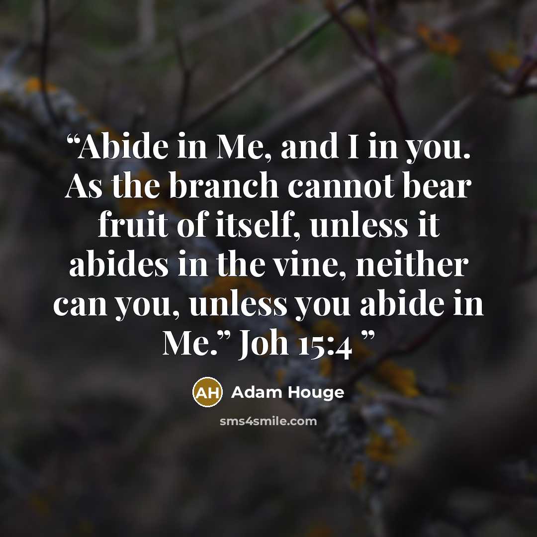 “Abide in Me, and I in you. As the branch cannot bear fruit of itself, unless it abides in the vine, neither can you, unless you abide in Me.” Joh 15:4” quote by Adam Houge