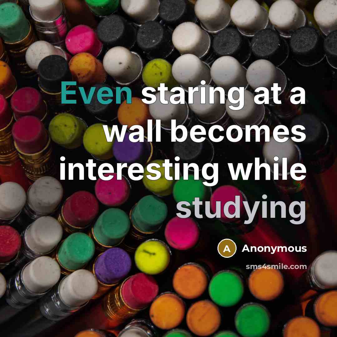 “Even staring at a wall becomes interesting while studying” quote by Anonymous