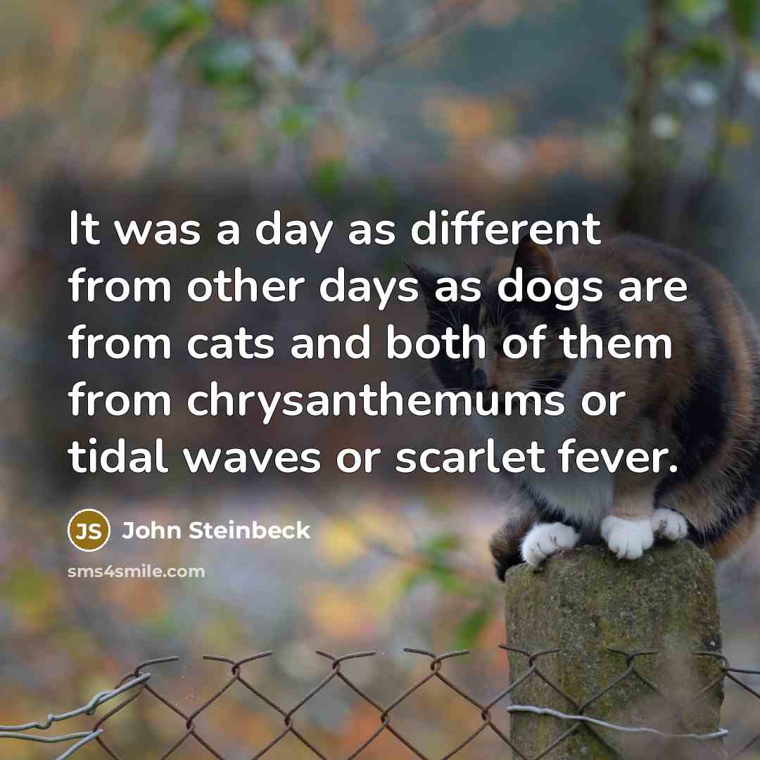 “It was a day as different from other days as dogs are from cats and both of them from chrysanthemums or tidal waves or scarlet fever.” quote by John Steinbeck