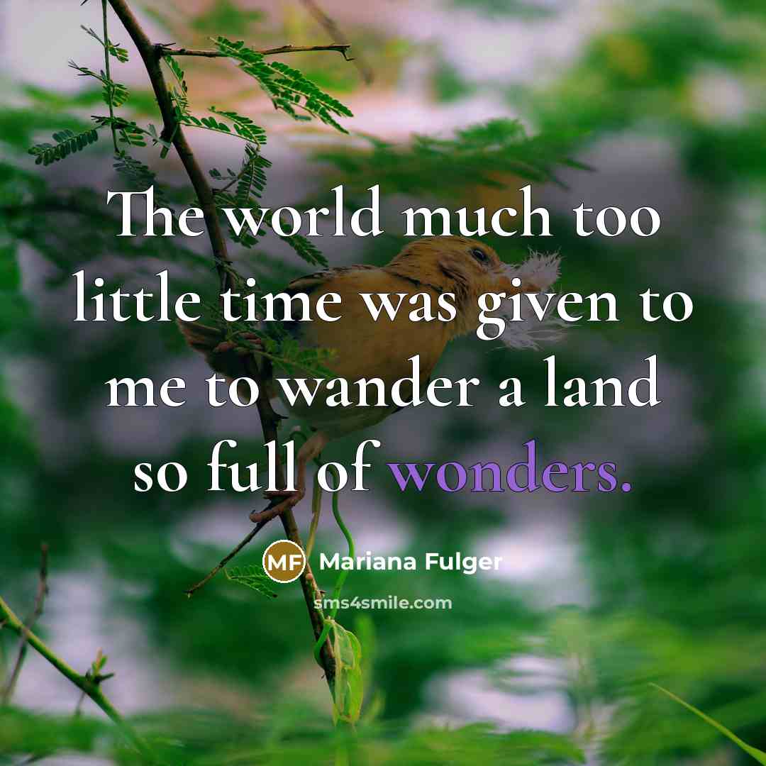 “The world much too little time was given to me to wander a land so full of wonders.” quote by Mariana Fulger