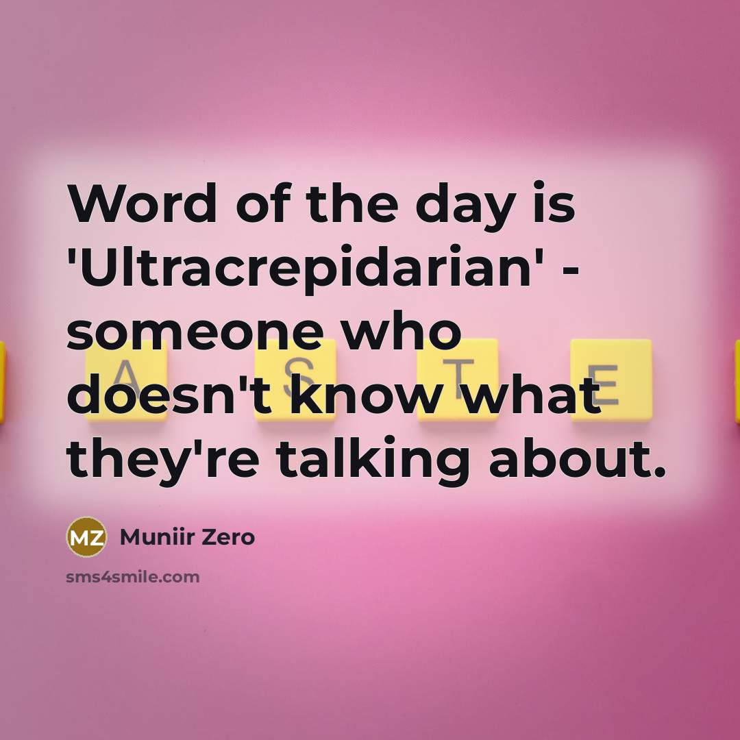 “Word of the day is 'Ultracrepidarian' - someone who doesn't know what they're talking about.” quote by Muniir Zero