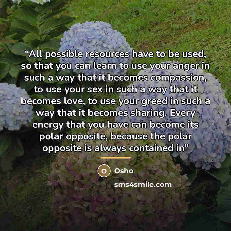 “All possible resources have to be used, so that you can learn to use your anger in such a way that it becomes compassion, to use your sex in such a way that it becomes love, to use your greed in such a way that it becomes sharing. Every energy that you have can become its polar opposite, because…” quote by Osho