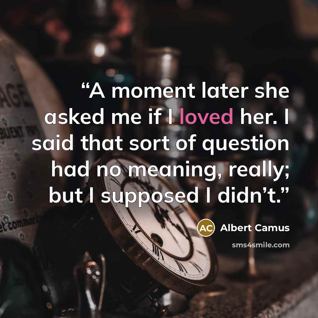 “A moment later she asked me if I loved her. I said that sort of question had no meaning, really; but I supposed I didn’t.” quote by Albert Camus
