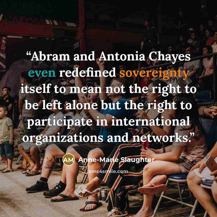 “Abram and Antonia Chayes even redefined sovereignty itself to mean not the right to be left alone but the right to participate in international organizations and networks.” quote by Anne-Marie Slaughter