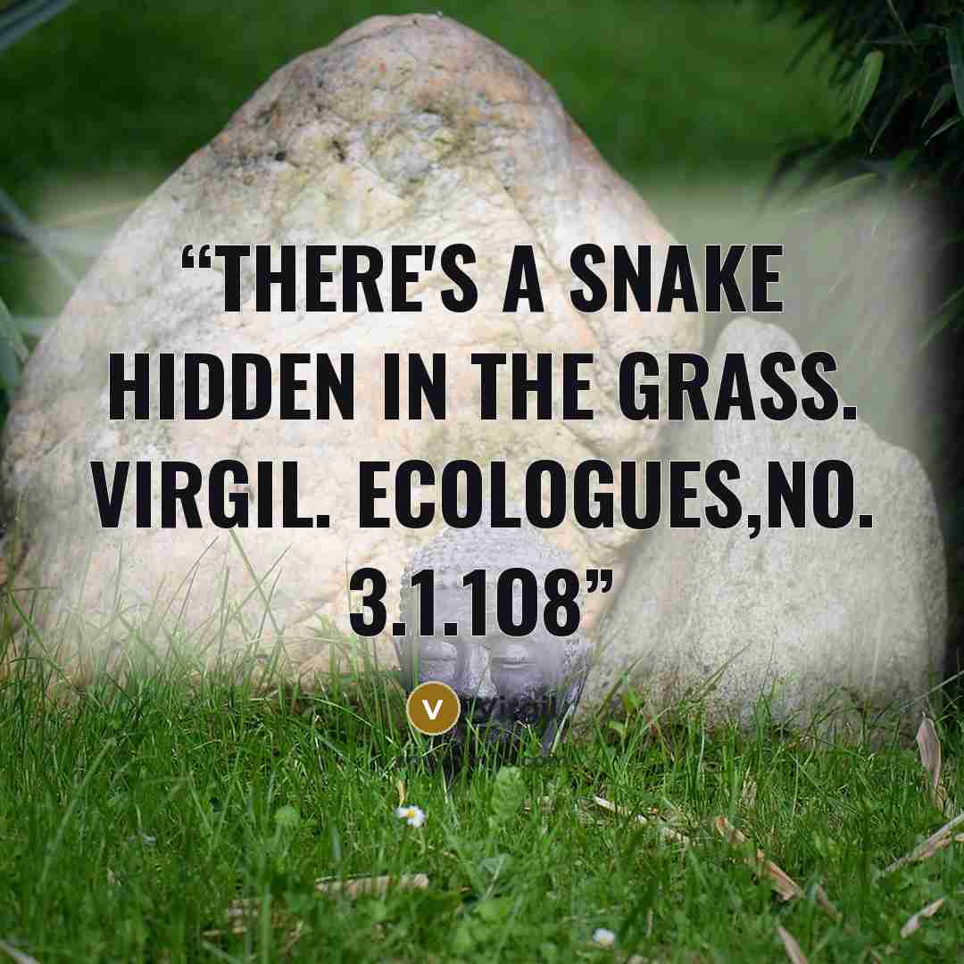 “There's a snake hidden in the grass. Virgil. Ecologues,no. 3.1.1o8” quote by Virgil