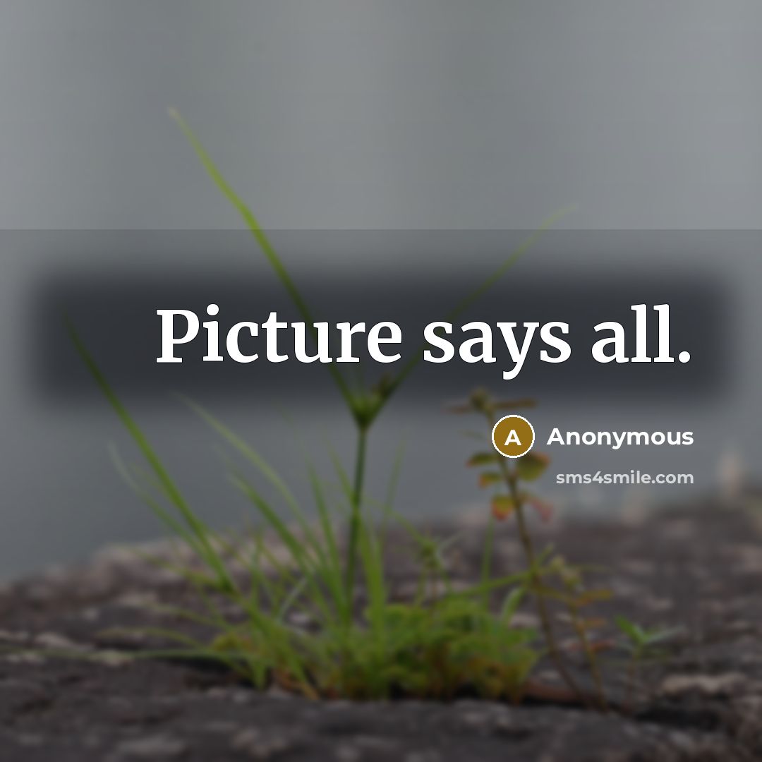 “Picture says all.” quote by Anonymous