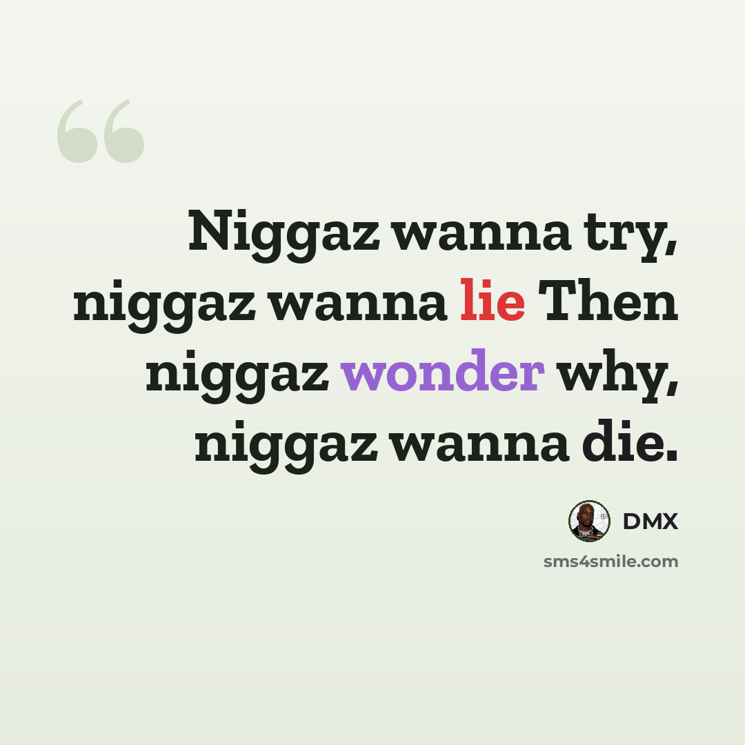 “Niggaz wanna try, niggaz wanna lie Then niggaz wonder why, niggaz wanna die.” quote by Dmx